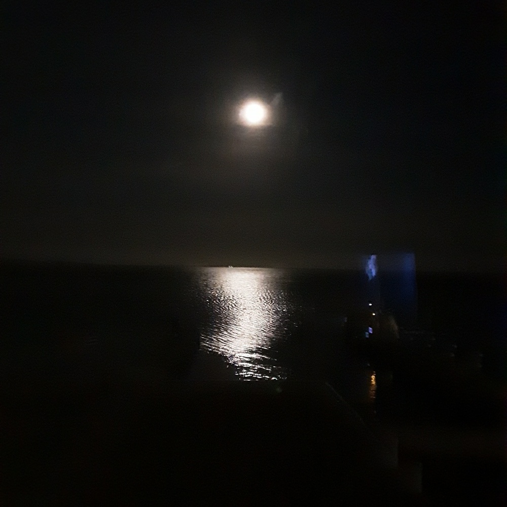 Meet your Posher, Martamarie